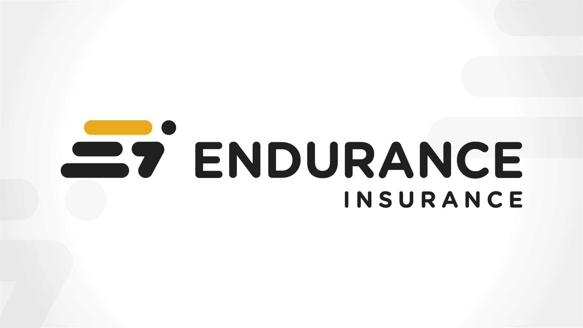 endurance insurance cfo