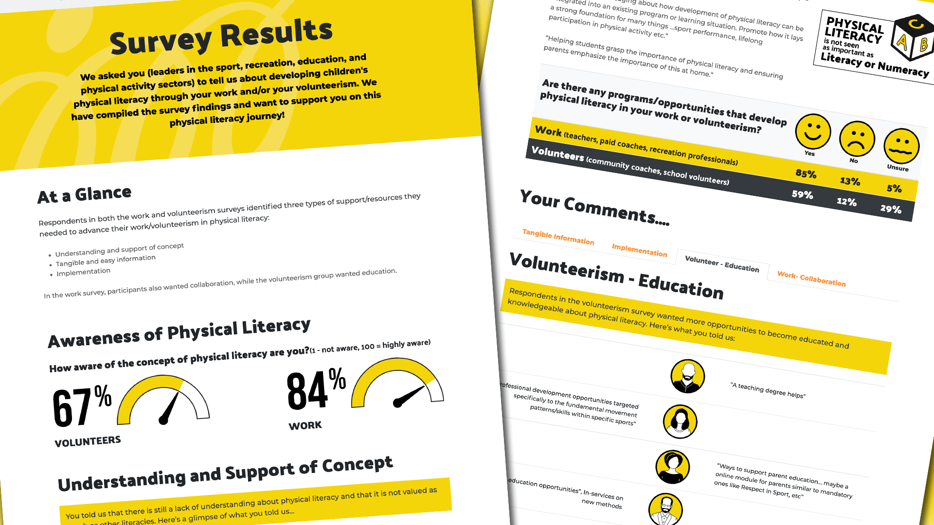 Saskatchewan Physical Literacy Working Group, Website, Sask. Phys Lit Website, Portfolio Image, Presenting survey results in a fun, informative way.